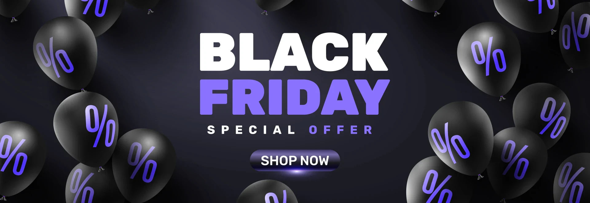 Black Friday Flash Sale