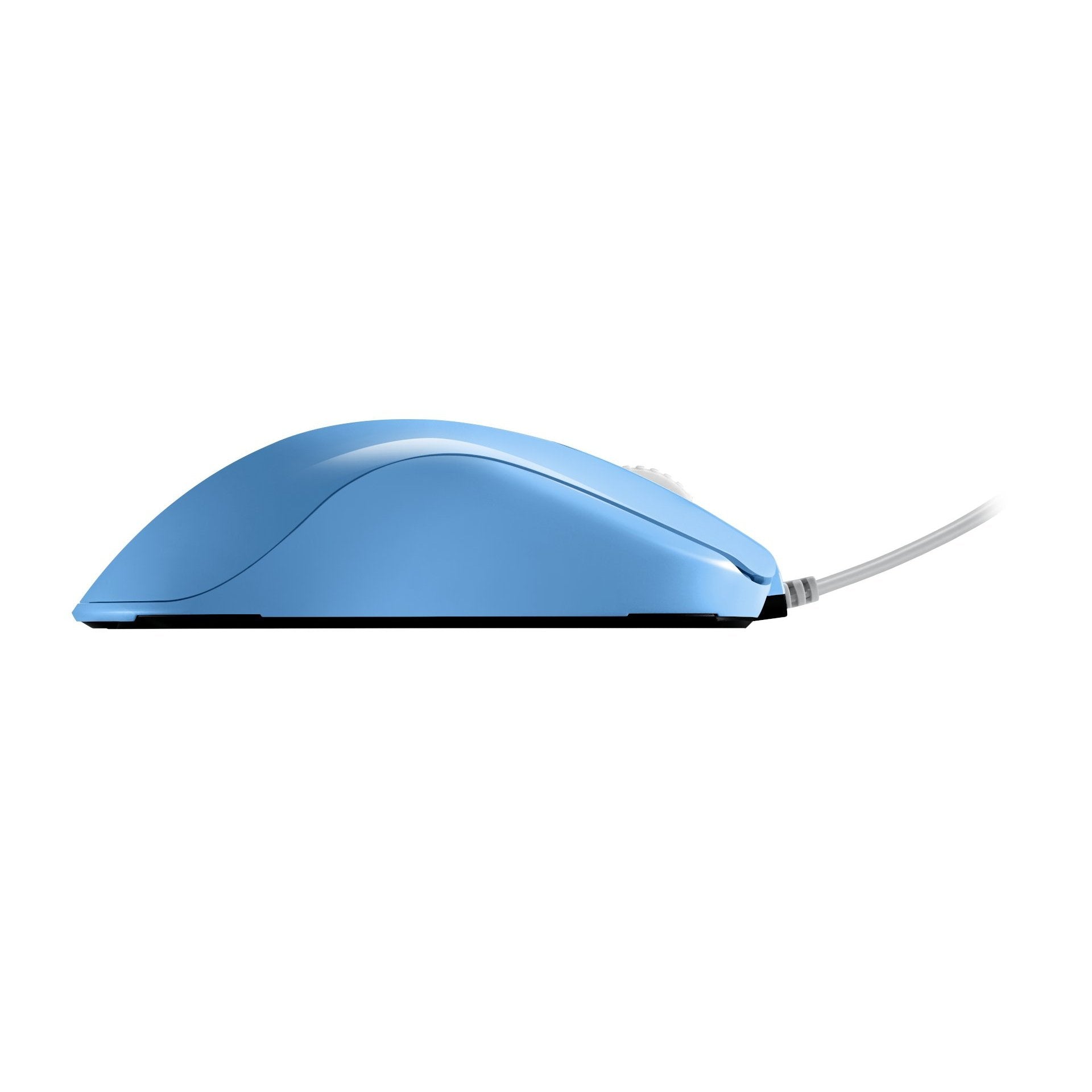 ZOWIE FK1+DIVINA Blue eSports Mouse-Addice Inc