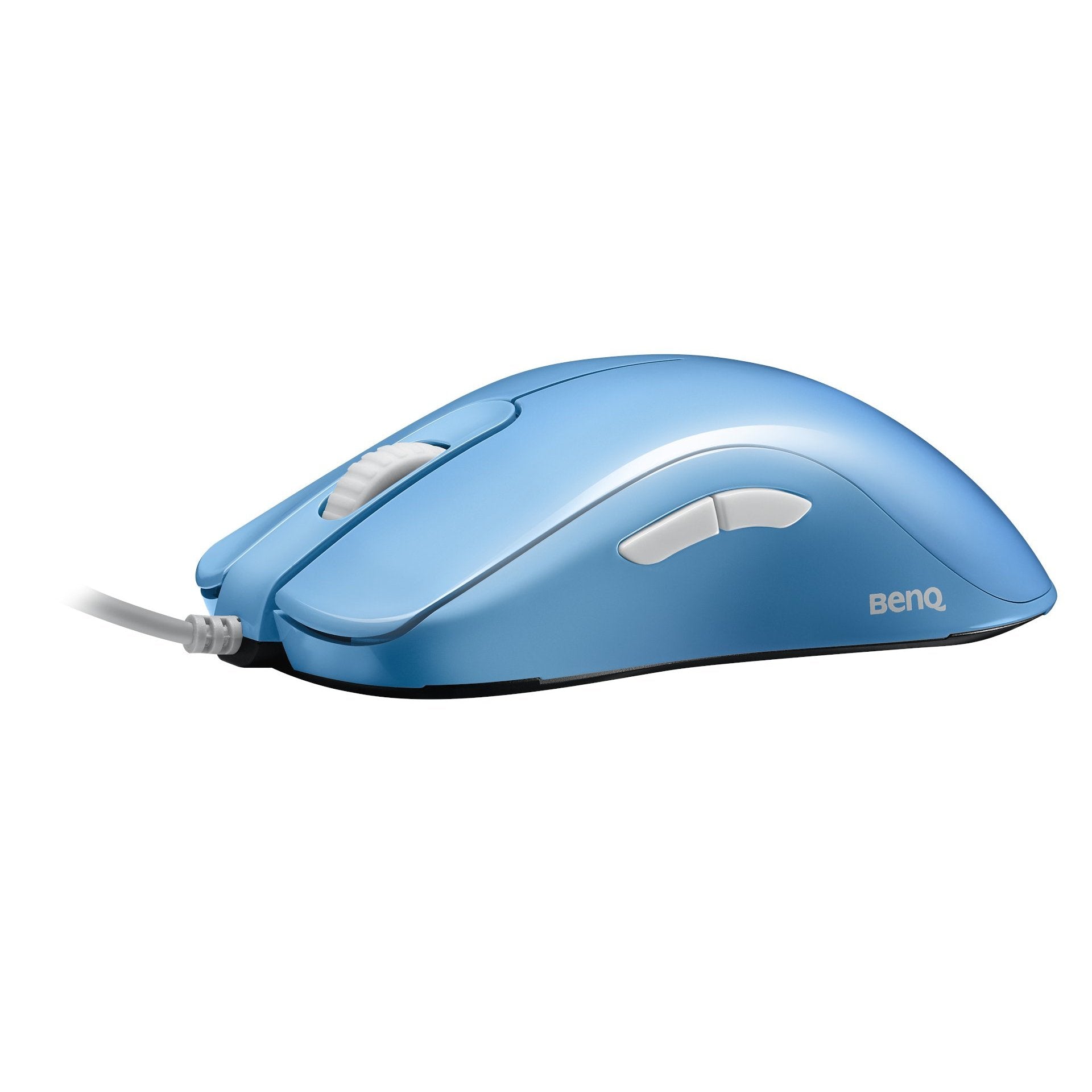 ZOWIE FK1+DIVINA Blue eSports Mouse-Addice Inc